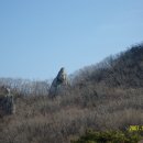 전남 화순군 백아면 (백아산) 산행 이미지