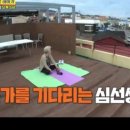 피스테라 클래식 이미지