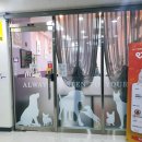 독살롱 다듬 이미지