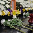 파주한빛병원 이미지