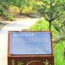 포천 국립수목원 광릉숲 답사 이미지