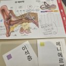 마곡성모내과신경과의원 네이버블로그