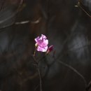 고마움 Daum카페