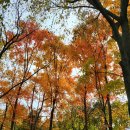 동명(춘천) 이미지