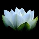 버스정류장 07-052 이미지