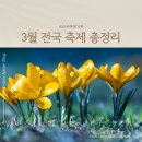 흥천체육공원 | 2024년 3월 꽃축제 전국행사 정리한 글 (feat. 벚꽃, 딸기)