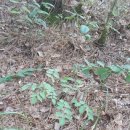 무련농장 이미지