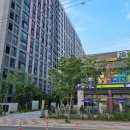 한국체대 탑 태권도장 이미지