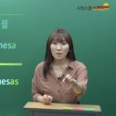 [시원스쿨 스페인어 후기] 고양이는 el gato 🐈‍⬛