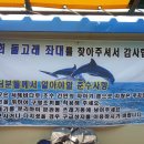 돌고래 좌대낚시터 이미지