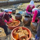 속리산숲체험휴양마을 이미지