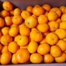 화심농장 이미지