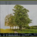 안개 농촌체험 휴양마을 이미지