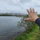 비둘기밧데리 이미지