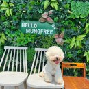 프리멍 | 경남근교 애견운동장 멍프리 후기