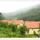 충북알프스자연휴양림 이미지
