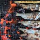 솔방울 구이 Daum카페