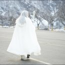 하이트피아