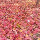 신월동019 이미지