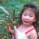 희숙농장 이미지