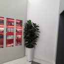 손끝의 예술, 셀프네일 이미지