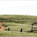 고창농장 이미지