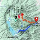 호텔코고라
