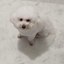 (주) 마리요리 이미지