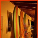 스테이 길리 풀빌라 글램핑 | 태안펜션 스테이길리풀빌라글램핑- 기억에 남는 애니멀 팬션!