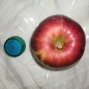 금당골농장 이미지