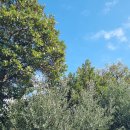 기분전환으로 찾아가본 브런치 카페 이미지