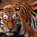 밤이 낮이 된다는 것 이미지