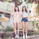보라 이미지