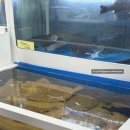 복조리샤브샤브 이미지