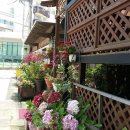 대천로마펜션 이미지