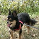 김앤정동물병원 이미지