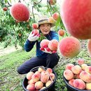 월봉농장 이미지