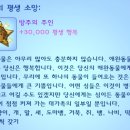 앨리스&고양이발톱