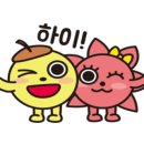 스파라쿠아풍남 이미지