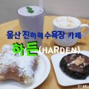 울산 진하해수욕장 카페 솔직후기 카페하든