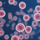 메디컬오스위트요양병원 이미지