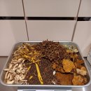 토끼씨한의원 이미지