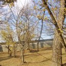 성씨고가 이미지