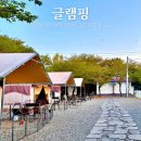 Tree Pet(트리펫) | 충남 서산 서해바다 앞 애견동반 글램핑장 서산펫앤트리 물놀이 가능