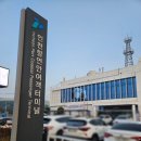 초록별펜션 | 여름 섬 여행 대청도 숙소 대청도 초록별 펜션 후기 대청도 홍어 시내구경
