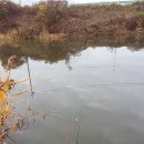 까까헤어 이미지