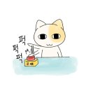 초슈퍼울트라럭키걸 일상보고서 7월 1주차
