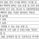 도쿄990 네이버블로그