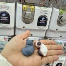 뽑기한판 이미지