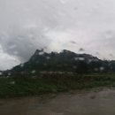 귤림추색 이미지